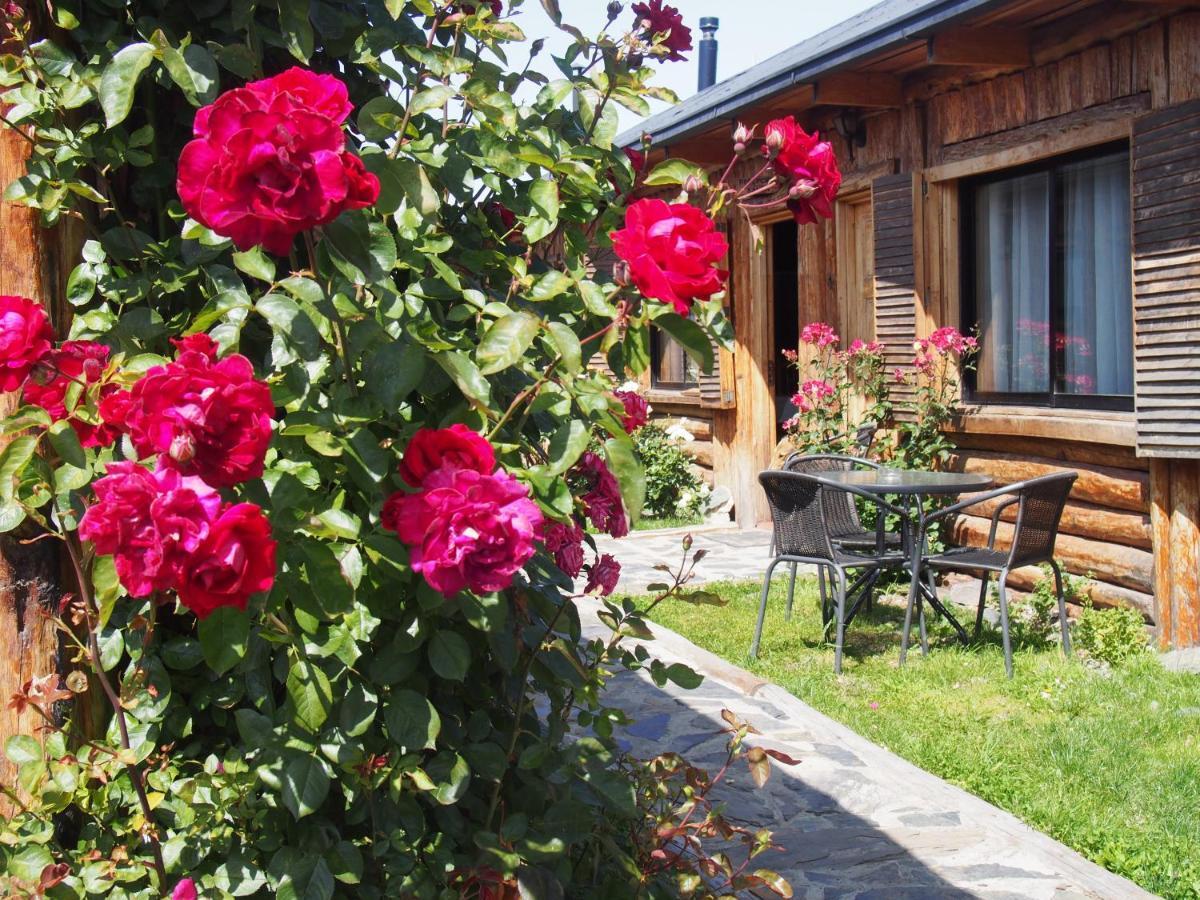Hotel Ultimo Paraiso Cochrane Kültér fotó
